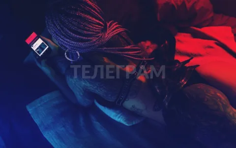 Telegram Mini App на Vue 3: интеграция WebApp JS и идемпотентная отправка данных
