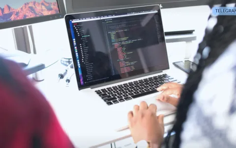 Консольная команда Yii2 для обслуживания Telegram-бота: webhook, getMe и ротация логов
