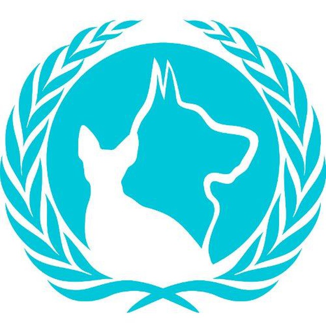 Вет клиника "Рекс" 🐈‍⬛️🐩🐇🦝🐁🦎🐢🐍 канал