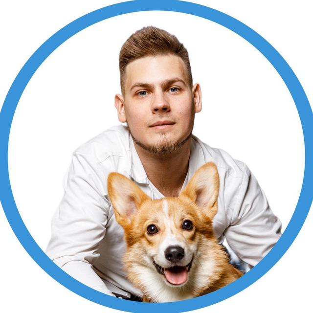 Ветеринар с адекватным подходом🐾